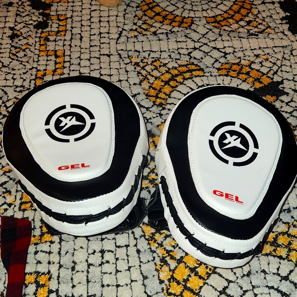Pro Training boxing mitts (pair)